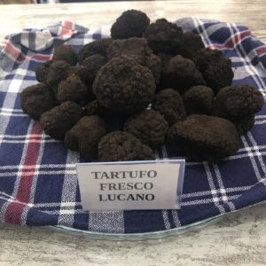 Tartufo nero lucano fresco (scorzone) Tartufo nero lucano fresco (scorzone)