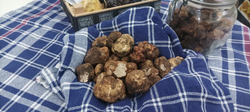 Tartufo bianchetto fresco Tartufo bianchetto fresco