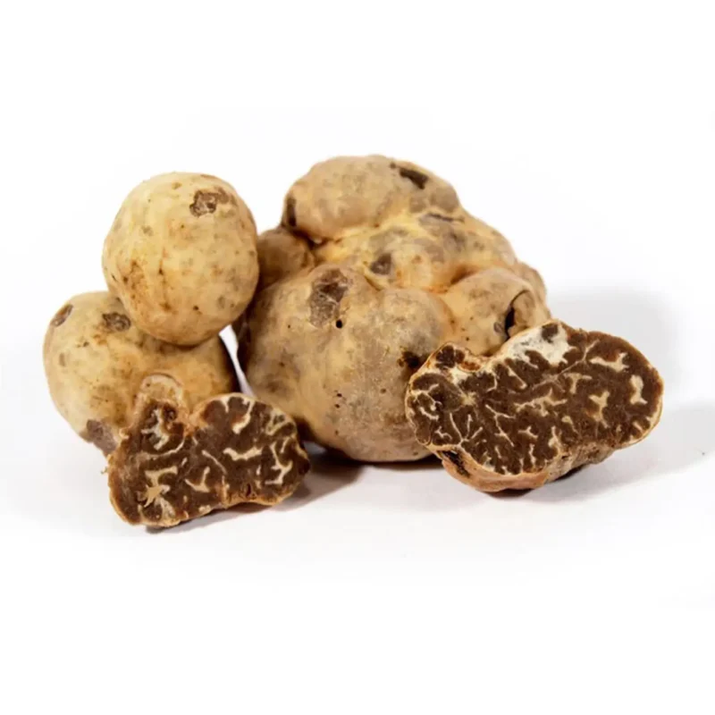Tartufo Bianchetto ( Tuber Borchii Vitt.) FRESCO